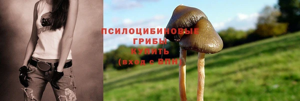 ALPHA-PVP Володарск