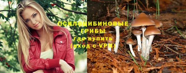 бошки Покачи