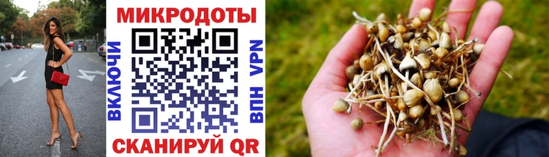 Псилоцибиновые грибы Cubensis  цена   Снежинск 