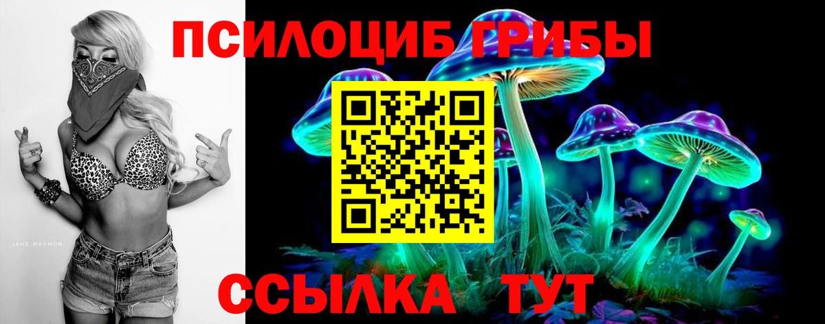 Псилоцибиновые грибы MAGIC MUSHROOMS  Вход с VPN  Галлюциногенные грибы прущие грибы  Снежинск 