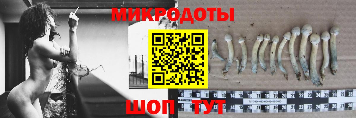 Галлюциногенные грибы MAGIC MUSHROOMS Снежинск